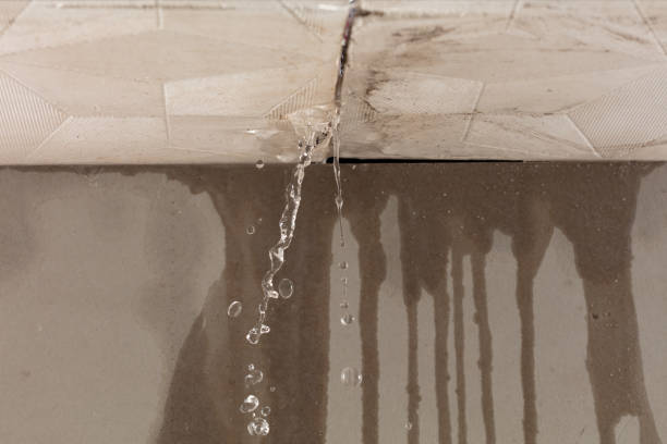 Professional Water Damage Repair technician working in Fort Myers Beach, FL